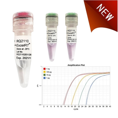 Reagente bioquímico nenhum verde 1000 de Accuris QMax das reações da mistura X 20ul de Rox QPCR