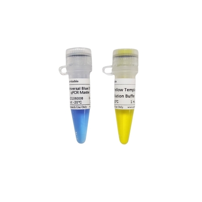 2× mistura mestra azul do verde QPCR do universal GSK com amortecedor amarelo da diluição do molde 40×