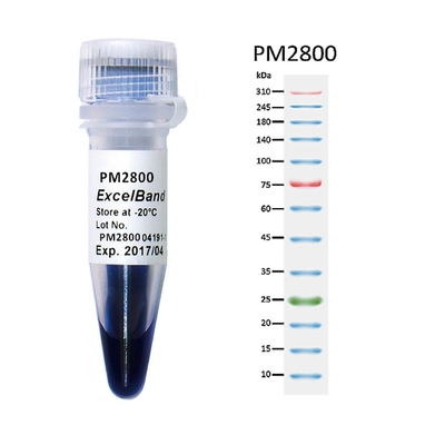 11 cor azul 25-300kDa do marcador 2x250ul 3 da proteína da escala alta das faixas 9-180KDA