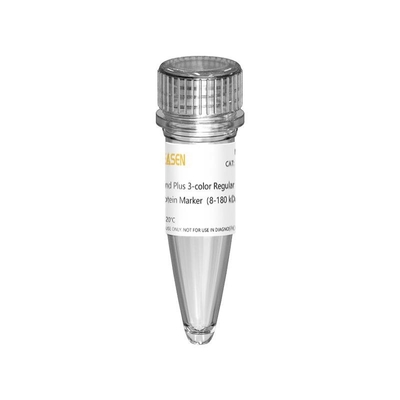 Escada do marcador da proteína de III 12-190KDa Prestained para a eletroforese do gel