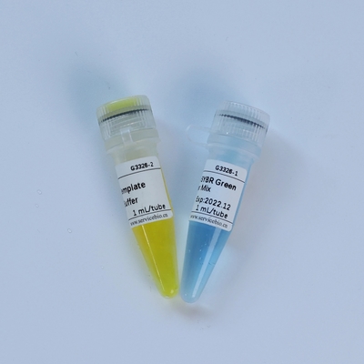 Reagente bioquímico da mistura universal do mestre do multiplex QPCR de TaqMan