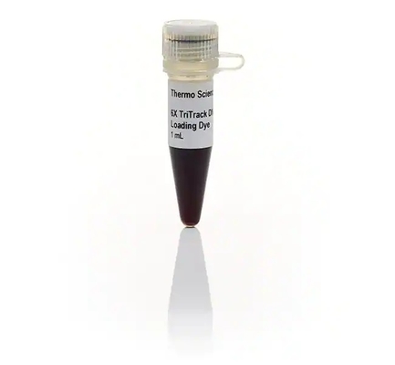 GeneRuler 1kb pronto para uso mais o reagente bioquímico da escada do ADN