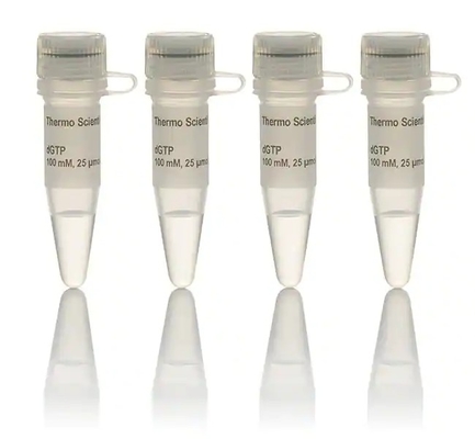 O reagente bioquímico 100 milímetro DNTP ajustou a solução DATP DCTP DTTP DGTP