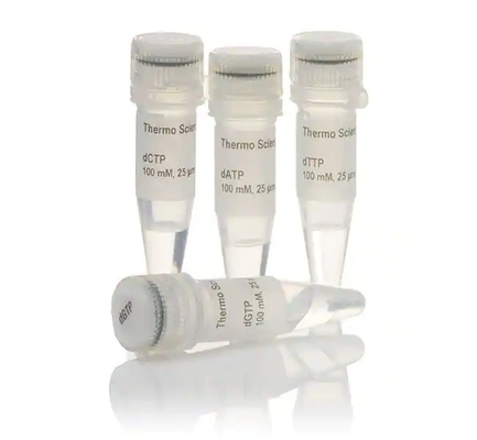 mistura 25mM cada um da pureza DNTP de 25mmol/L 99% para o uso da pesquisa SOMENTE