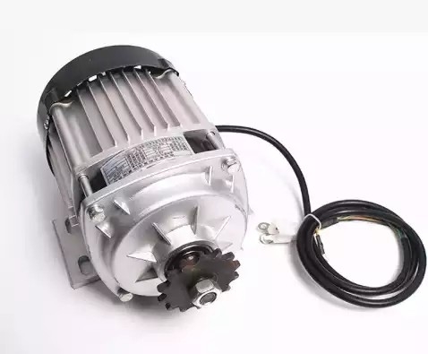 Motor triciclo 24/48V de alta potência, motor de engrenagem sem escova de bicicleta elétrica 3000 W