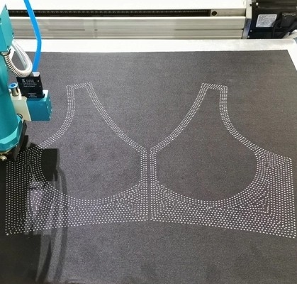 Derretimento quente de alta velocidade de Jelly Glue Dispensing Machine Silicone do roupa interior